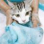 MJEMS Cat Grooming Bag Puppy Dog Shower Mesh Bag with Adjustable Drawstring, Multiuse Breathable Anti-Bite Anti-Scratch Cat Restraint Bag for Bathing Injecting Examining Nail Trimming