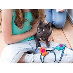 RC Pet Toys Wooly Wonkz Woodland 100% New Zealand Wool, Fun Interactive Cat and Small Dog Toy