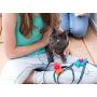 RC Pet Toys Wooly Wonkz Woodland 100% New Zealand Wool, Fun Interactive Cat and Small Dog Toy