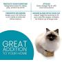 Climb Zoo Cat Scratching Post, (Set of 2) Horizontally Wall Mounted Cat Steps for Indoor Cats