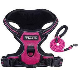 WEZVIX Dog Harness and Leash Set, Pet Harness with Leash Adjustable Outdoor Pet Vest Set Reflective Oxford Material Vest Harness for Small Medium Large Dogs Easy to Control