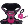WEZVIX Dog Harness and Leash Set, Pet Harness with Leash Adjustable Outdoor Pet Vest Set Reflective Oxford Material Vest Harness for Small Medium Large Dogs Easy to Control