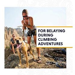 RUFFWEAR - Doubleback, Strength-Rated Belay Dog Harness, Rock Climbing & Backpacking, Strength-Rated to 2,000 lbf/8.9 kN