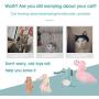 N/W Cat Toys Catnip Toys, Plush Cat Toys Bite Resistant Pet Toys Cotton Filling Toys Christmas Cat Toys Animal Shape Catnip Cat Chew Toys for Kittens and Adult Cats (6 PCS)