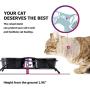 Y YHY Cat Food Bowls, Raised Cat Bowls for Food and Water, Ceramic Cat Bowls Elevated, Cat Dishes for Cat or Small Dogs,12 Ounces, Cute Cat Design, Dishwasher Safe