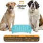 Neater Pet Brands - Neater Slow Feeder - Fun, Healthy, Stress Free Dog Bowl Helps Stop Bloat Prevents Obesity Improves Digestion (2.5 Cup, 6 Cup, Double Diner/w Water Bowl)