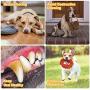 Dog Chew Toys for Aggressive Chewers Large Breed,3 Pack Indestructible Natural Rubber Puppy Teeth Cleaning Toy ,Pet Training Interactive Squeaky Dog Toy for Small Medium Dogs Reduces Tartar Buildup