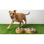Brave Bark Figure 8 Feeder - Premium Dog and Cat Double Bowl Comes with 2 Stainless Steel Inserts Perfect for Food and Water (Large)
