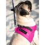 metric usa / Comfort Fit Pets Step in No Pull Small and Medium Dog Harness Vest Easy to Put on & Take Off Soft Padded Interior & Exterior Puppy Harness Ensures Your Dog is Snug & Comfortable