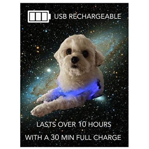 LED Light Dog Harness for Night Walking - USB Rechargeable, Super Bright, Removable and Easy to Wear for Small/Medium/Large Dogs (Pink, Small (Chest: 12.5”-15.7”))