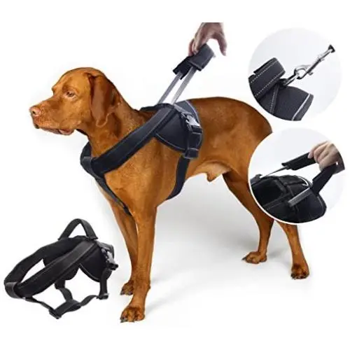YOGADOG Heavy Duty Dog Harness, Prevent Pulling, Soft Padded with Special Extended Integrated Short Leash Design, Reflective Stitching, for Medium and Large Dogs YOGADOG Heavy Duty Dog Harness, Prevent Pulling, Soft Padded with Special Extended Integrated Short Leash Design, Reflective Stitching, for Medium and Large Dogs