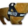 Deaf Dog Nylon Strap Service Dog Harness No Pull Guide Assistance Comes with 2 Reflective Deaf Dog Removable Patches. Please Measure Your Dog Before Ordering.
