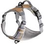 WePet Front Range Dog Harness, Adjustable, Reflective and Padded Pet Vest Harness, No Pull, Easy Control Handle and Front Clip for Walking, Training Small, Medium, Large Dogs