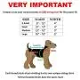 FunnyDogClothes Dog Diaper for Male Boy Belly Band Reusable Washable with Suspenders Soft Fleece (S: Waist 10'' - 13'', Grey Dog)