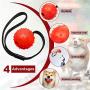 Skylety 4 Pieces Dog Ball on a Rope Interactive Dog Training Ball Dog Toy Ball on a Rope Reward and Exercise Toy for Small Medium Large Dog Fetching, Catching, Throwing and Tugging