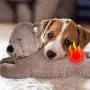 LILEI Dog Toy Plush Toy, Pet Behavioral Training Aid Toy with Built-in Heartbeat Device, Dog Toy Heartbeat Plush Puppy Toy, Perfect for Dogs Cats, 7.8x13.8x7inch LILEI Dog Toy Plush Toy, Pet Behavioral Training Aid Toy with Built-in Heartbeat Device, Dog Toy Heartbeat Plush Puppy Toy, Perfect for Dogs Cats, 7.8x13.8x7inch