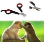 TeenTop Pet Dog Nail Clipper Professional Cats Home Grooming Tool Stainless Steel Nail Clipper, Nail Trimmer Grinder Dog Home Grooming Tool Professional Puppy Claw Pet Nail Scissor 1PC