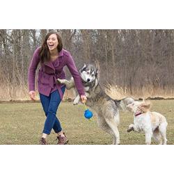 Hero Freezies Dog Toy, Durable Soft Rubber, Fill with Water & Freeze, Tug & Toss Ball