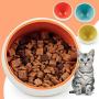 Petzilla Ceramic Food Bowl for Cats and Small Dogs, Heavy Base Feeding Dish, Prevent Tipping or Spill Over, Space Capsule Shape Design, Made of Ceramic