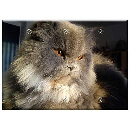 Triple Blank Wall Plate Cover - Cat Pet Animals Feline Animal Kitten Cat Eyes
