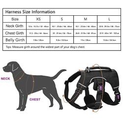 PETLOFT Big Dog Harness, Soft Texture Adjustable No Pull Dog Harness with Stainless Steel Rings, Adjustable Outdoor Training for Dogs Reflective Vest Harness, Easy Control for Small Medium Large Dogs