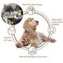 SHERY Dog Toys Dog Rope Toy Durable Rope Cotton Chew Ball Chew Teeth Cleaning Rope Toys for Pet Puppy SHERY Dog Toys Dog Rope Toy Durable Rope Cotton Chew Ball Chew Teeth Cleaning Rope Toys for Pet Puppy