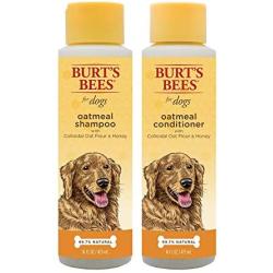 Combo Pack: Burts Bees for Dogs Oatmeal Dog Shampoo and Conditioner with Colloidal Oat Flour and Honey | Cruelty Free, Sulfate & Paraben Free, pH Balanced for Dogs - Made in The USA