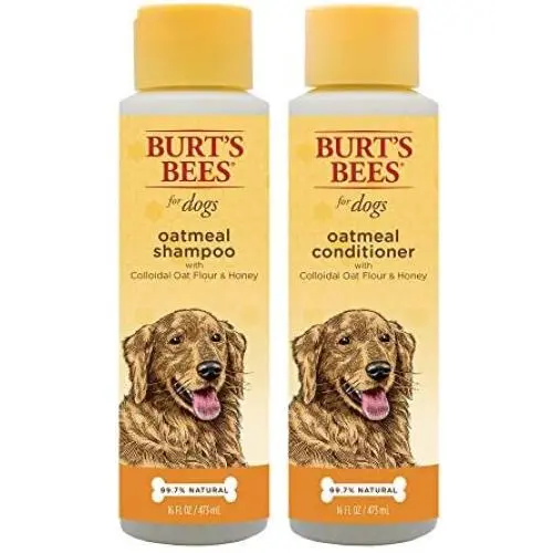 Combo Pack: Burts Bees for Dogs Oatmeal Dog Shampoo and Conditioner with Colloidal Oat Flour and Honey | Cruelty Free, Sulfate & Paraben Free, pH Balanced for Dogs - Made in The USA Combo Pack: Burts Bees for Dogs Oatmeal Dog Shampoo and Conditioner with Colloidal Oat Flour and Honey | Cruelty Free, Sulfate & Paraben Free, pH Balanced for Dogs - Made in The USA