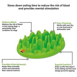 Green Interactive Feeder