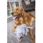 goDog Dinos Triceratops With Chew Guard Technology Tough Plush Dog Toy, Grey, Large