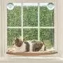 DILOOG Cat Window Hammock Seat,Cat Window Perch,Indoor Cats Safety Bed with Durable Heavy-Duty Suction Cups Can Hold Up to 30lbs for Large Cats DILOOG Cat Window Hammock Seat,Cat Window Perch,Indoor Cats Safety Bed with Durable Heavy-Duty Suction Cups Can Hold Up to 30lbs for Large Cats
