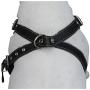 Black Genuine Leather Dog Harness, Medium. 25''-30'' Chest, 1'' Wide Adjustable Straps