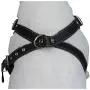 Black Genuine Leather Dog Harness, Medium. 25''-30'' Chest, 1'' Wide Adjustable Straps