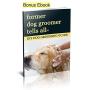 Paws Pamper Undercoat Rake for Small to Medium Dogs, and Cats