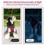 Aumuca No Pull Dog Harness Reflective Step in Small Dog Harness Easy Control Handle for Walking Dog Harness Medium Soft Mesh Adjustable Dog Harness for Small Medium Large Dogs