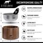 Stig & Bone Dog Bowls for Large Dogs – Elevated with Stand - Modern American Walnut Wood, Durable Stainless Steel – Raised Dog Feeder for Food and Water (Single Bowl)