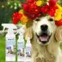 The Blissful Dog DEOSPRY-16OZ Simply Fresh Deodorizing Spray, 16 oz. The Blissful Dog DEOSPRY-16OZ Simply Fresh Deodorizing Spray, 16 oz.