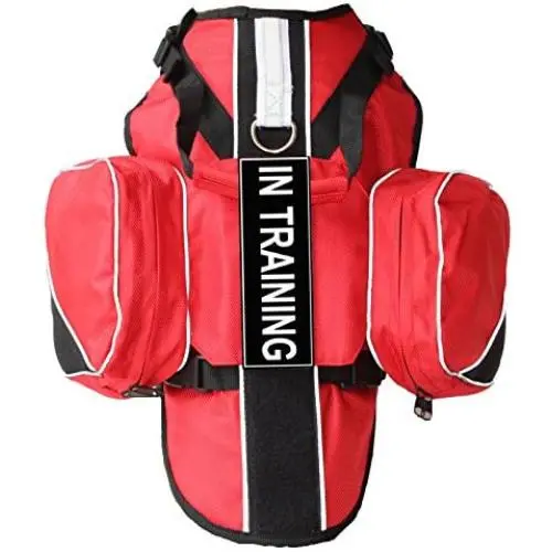 haoyueer Service Dog Vest Harness Chest Plate Removable in Training Label Patches & Side Saddle Bags haoyueer Service Dog Vest Harness Chest Plate Removable in Training Label Patches & Side Saddle Bags