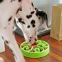 Slow Feeder Dog Bowl Anti-Choking Help Prevent Bloat Non Toxic BPA Free Feeding Dish, Green
