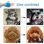Skoye Pet Bathing Tool, Dog Shower Sprayer Shampoo Washer with Massage Brush, 7.5 Foot Hose and 2 Adapters for Indoor Outdoor Use, Dogs Cat Horse Grooming Skoye Pet Bathing Tool, Dog Shower Sprayer Shampoo Washer with Massage Brush, 7.5 Foot Hose and 2 Adapters for Indoor Outdoor Use, Dogs Cat Horse Grooming
