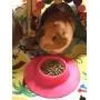 STAYbowl Tip-Proof Ergonomic Pet Bowl for Guinea Pig and Other Small Pets, 1/4-Cup Small Size, Fuchsia (Pink) STAYbowl Tip-Proof Ergonomic Pet Bowl for Guinea Pig and Other Small Pets, 1/4-Cup Small Size, Fuchsia (Pink)
