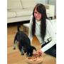 Double Sided Board Game Penny Dog Logic Toy for Pets 2 in 1