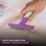 Poodle Pet Dog Grooming Rake| Dematting Tool with Stainless Steel Shedding Comb for Pets | 2 Rows of Pins Gently Remove Loose or Tangled Hair from Undercoat | Purple Handle Poodle Pet Dog Grooming Rake| Dematting Tool with Stainless Steel Shedding Comb for Pets | 2 Rows of Pins Gently Remove Loose or Tangled Hair from Undercoat | Purple Handle
