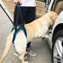 ROZKITCH Pet Dog Support Harness Rear Lifting Harness Veterinarian Approved for Old K9 Helps with Poor Stability, Joint Injuries Elderly and Arthritis ACL Rehabilitation Rehab