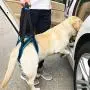 ROZKITCH Pet Dog Support Harness Rear Lifting Harness Veterinarian Approved for Old K9 Helps with Poor Stability, Joint Injuries Elderly and Arthritis ACL Rehabilitation Rehab ROZKITCH Pet Dog Support Harness Rear Lifting Harness Veterinarian Approved for Old K9 Helps with Poor Stability, Joint Injuries Elderly and Arthritis ACL Rehabilitation Rehab