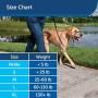 PetSafe Gentle Leader Headcollar, No-Pull Dog Collar – Perfect for Leash & Harness Training – Stops Pets from Pulling and Choking on Walks – Works with Small, Medium and Large Dogs