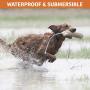 SportDOG Brand NoBark Rechargeable Bark Control Collar - Programmable, Waterproof Bark Collar