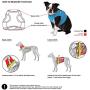 Puppia Soft Vest Harness B