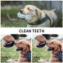 NPTCL Dog Chew Toys Puppy Teething Toys Squeaky Pet Toys with Rope for Small and Medium Dogs, Non Toxic Rubber, 3 Pack… NPTCL Dog Chew Toys Puppy Teething Toys Squeaky Pet Toys with Rope for Small and Medium Dogs, Non Toxic Rubber, 3 Pack…