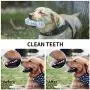 NPTCL Dog Chew Toys Puppy Teething Toys Squeaky Pet Toys with Rope for Small and Medium Dogs, Non Toxic Rubber, 3 Pack…